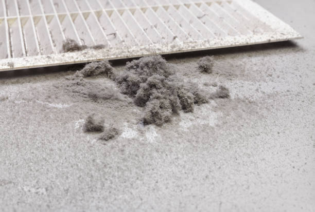 Best Affordable HVAC Duct Cleaning  in Smiths Station, AL