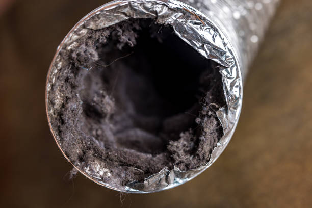 Best HVAC System Cleaning  in Smiths Station, AL